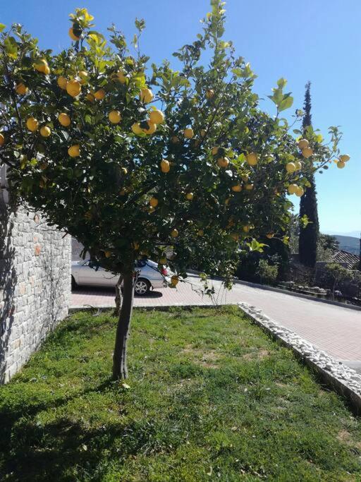 Nafplio, Hill With An Amazing View Appartement Buitenkant foto